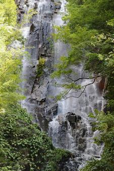 さわやかな滝2 さわやかな滝,瀧,常清滝の写真素材