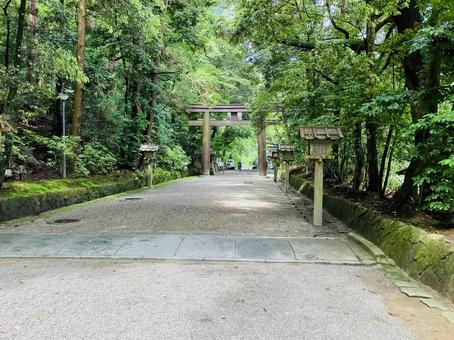 石上神宮 参道 石上神宮 参道の写真