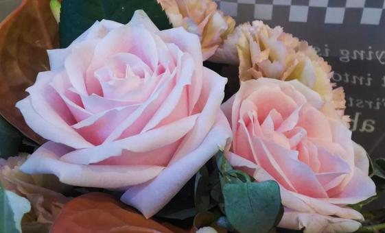 ピンクの花束 ピンクの花束の写真