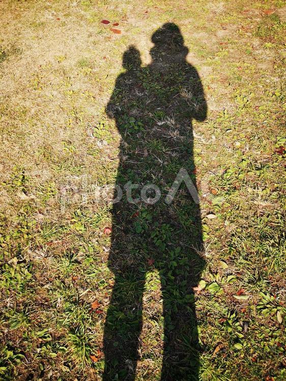 母と子の影 葉,歩きます,秋の写真素材