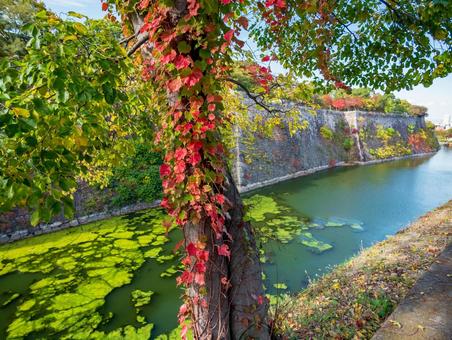 秋06 秋,風景,池の写真素材