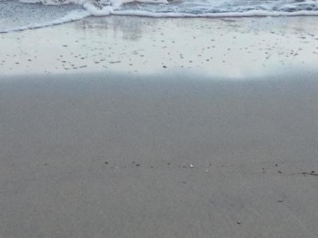 波打ち際の写真