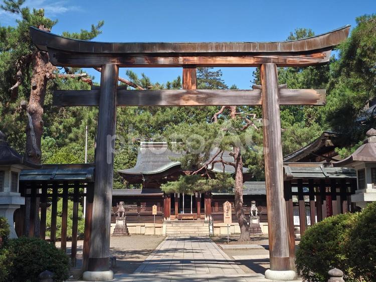 上杉神社（山形県米沢市） 上杉神社,鳥居,参道の写真素材