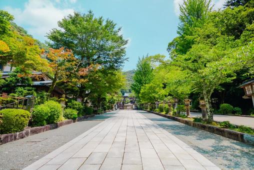 【岐阜】伊奈波神社 2025 【岐阜】伊奈波神社 2025の写真