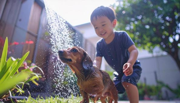 犬と子ども 夏 水あび 笑顔 ダックス 犬と子ども 夏 水あび 笑顔 ダックスの写真