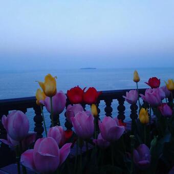 熱海にての写真