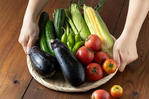 カゴに盛られた新鮮な夏野菜 カゴに盛られた新鮮な夏野菜 夏野菜,野菜,収穫の写真素材