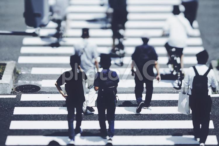 横断歩道を渡る人々 ビジネスイメージ 横断歩道,人,人々の写真素材