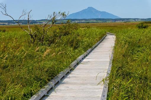 サロベツ湿原から望む夏の利尻岳と原野 サロベツ湿原から望む夏の利尻岳と原野 利尻島,サロベツ湿原,湿原の写真素材