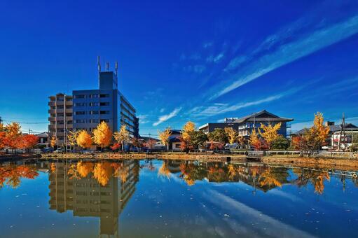 奈良県天理市の田井庄池公園 田井庄池公園,奈良県,天理市の写真素材