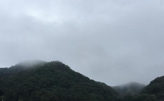 雨上がりの朝 雨上がりの朝の写真