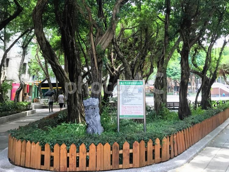 台北の街並みと公園 台湾,台北,公園の写真素材