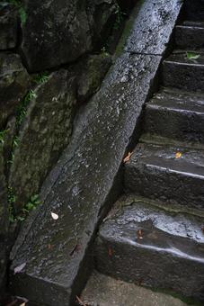雨上がりの石段 石段,階段,石の写真素材