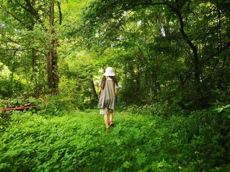 小学生　夏休みの自然体験の写真