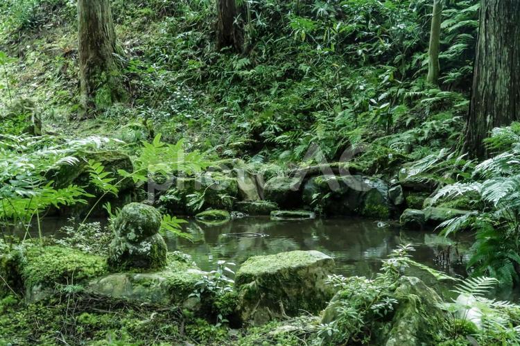 [京都]大原　三千院 京都,大原,三千院の写真素材