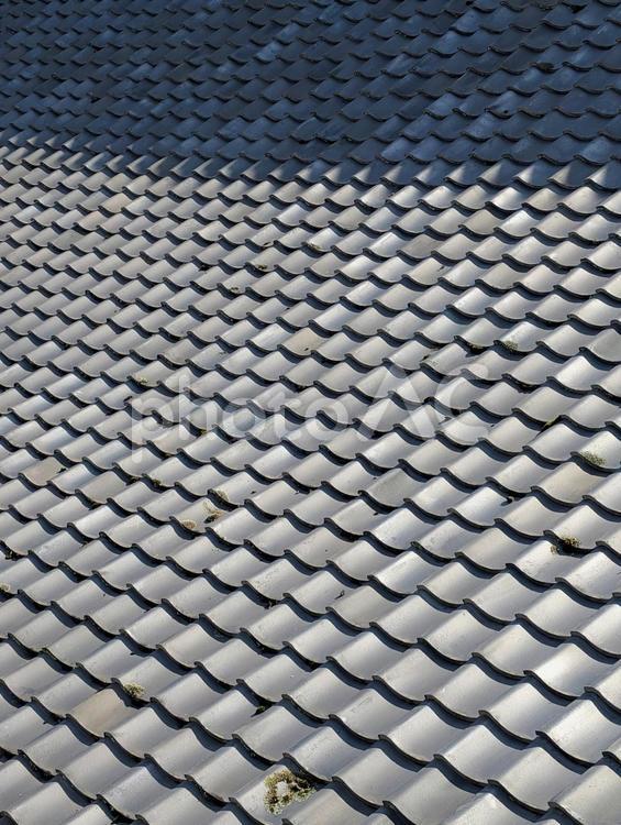 瓦の屋根のテクスチャ 瓦,屋根,反射の写真素材