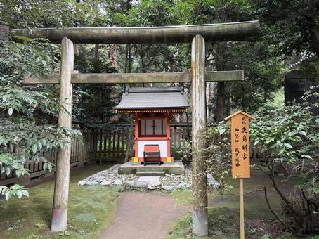 香取神宮 香取神宮 香取神宮,神社,千葉県の写真素材