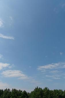 爽やかな青空と森 爽やかな青空と森の写真