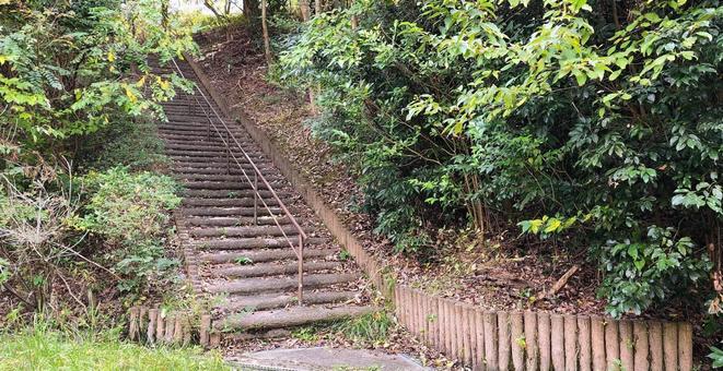 公園の階段 公園の階段 公園,階段,手摺の写真素材