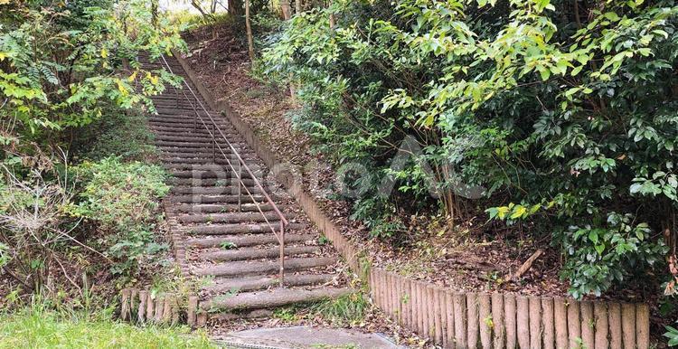 公園の階段 公園,階段,手摺の写真素材