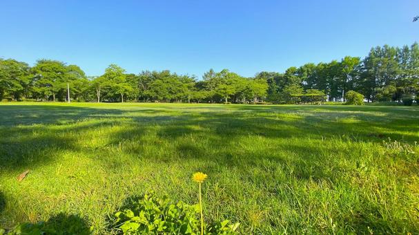 朝の北部公園(金沢市):36 朝の北部公園(金沢市):36 公園,春,夏の写真素材