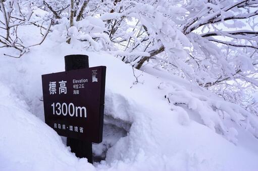 鳥取大山の冬登山3　雪山素材　風景 雪山,登山,危険の写真素材
