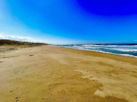 鳥取砂丘 鳥取,鳥取砂丘,鳥取県の写真素材
