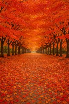紅葉の道 紅葉の道の写真