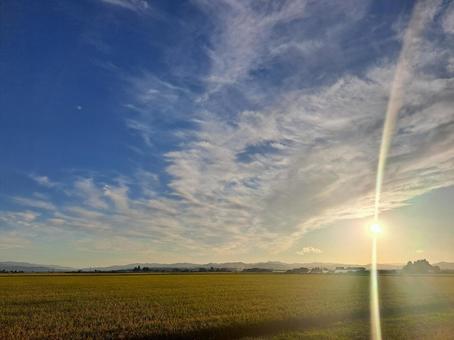 秋空と稲 秋空と稲の写真