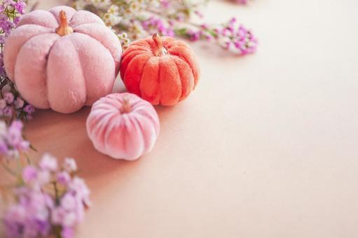 パンプキンとワックスフラワー パンプキンとワックスフラワー かぼちゃ,パンプキン,花の写真素材