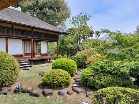 偕楽園 好文亭の庭 茨城県水戸市 偕楽園 好文亭の庭 茨城県水戸市 偕楽園,好文亭,庭の写真素材