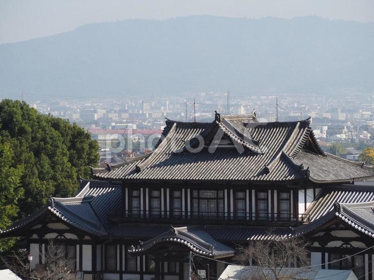 奈良　郡山城から見た風景 奈良,郡山城,風景の写真素材