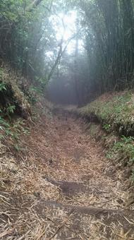山道 山道の写真
