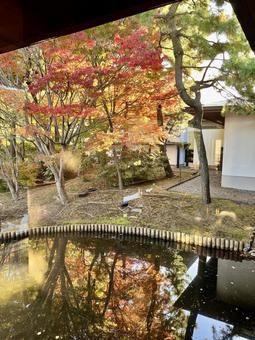 水面に映る紅葉 水面に映る紅葉の写真
