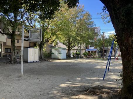 Photo, park, trees, play equipment, 