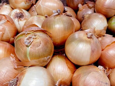 野菜・タマネギ タマネギ,玉葱,オニオンの写真素材