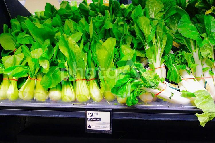 青梗菜 青梗菜,野菜,八百屋の写真素材