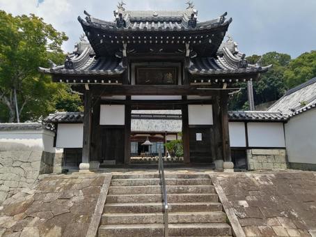 大廣寺　山門 大廣寺,山門,参道の写真素材