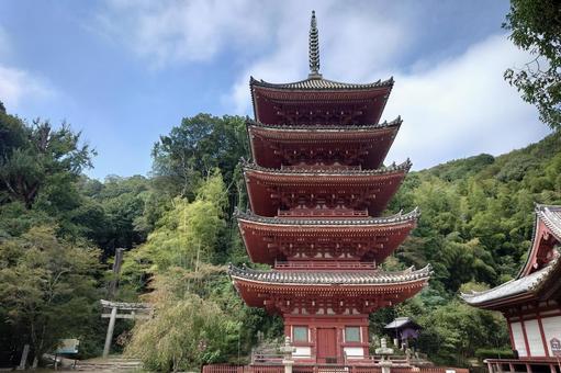 広島県-明王院-国宝-五重塔 広島県-明王院-国宝-五重塔 明王院,寺,中道山の写真素材