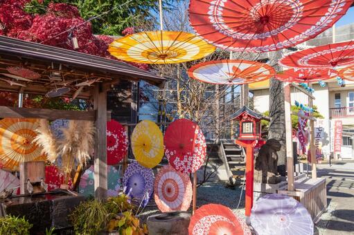 仙台八坂神社(40) 神社,仙台八坂神社,晩秋の写真素材