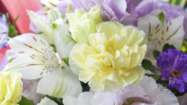 Cute yellow carnations and flowers background, JPG Cute yellow carnations and flowers background, JPG