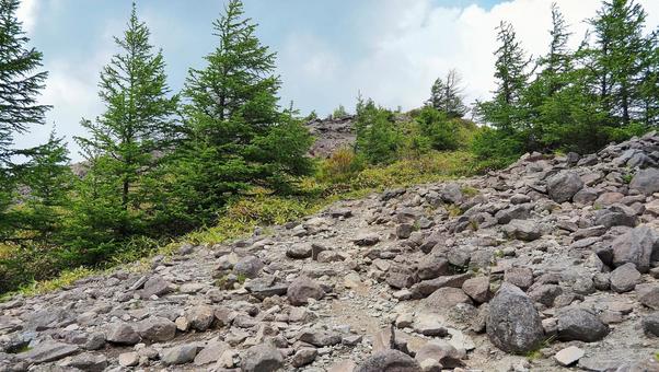 美ヶ原高原の登山道 美ヶ原高原の登山道 山,登山,美ヶ原高原の写真素材