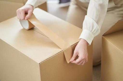 Asian men and women packing for moving, JPG Asian men and women packing for moving, female, male, cohabitation, JPG