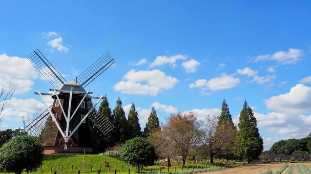 秋のあけぼの山農業公園・風車・千葉県柏市 秋のあけぼの山農業公園・風車・千葉県柏市 秋,あけぼの山農業公園,風車の写真素材