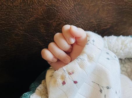 赤ちゃんの手 赤ちゃんの手,赤ちゃん,かわいいの写真素材