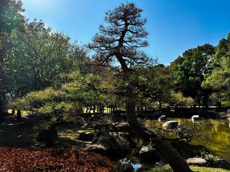 公園 公園,自然,japanの写真素材