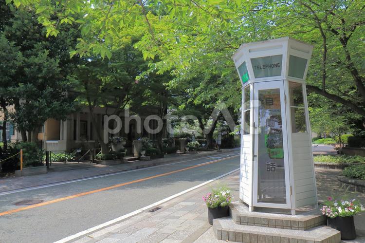 横浜市の山手エリアの風景 横浜,山手,電話ボックスの写真素材