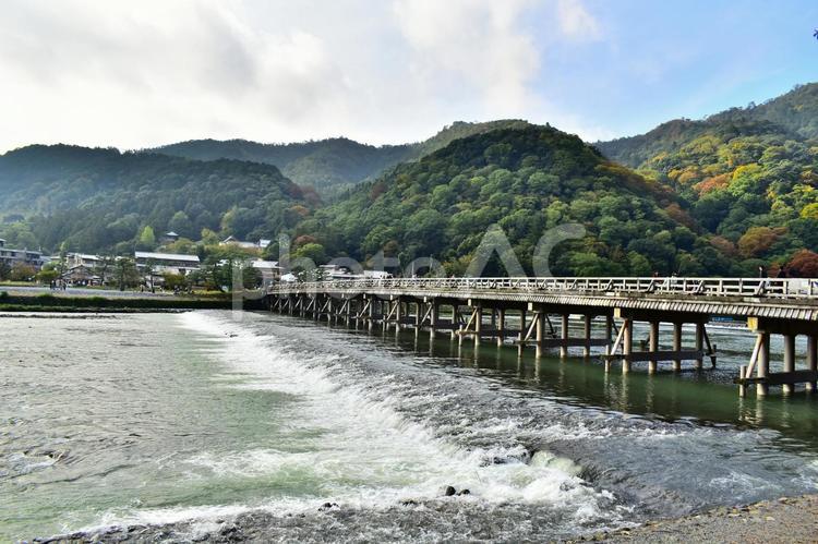 紅葉が始まる京都の渡月橋 渡月橋,嵐山,京都の写真素材