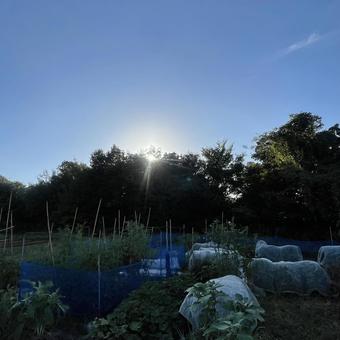 風景 そら,景色,風景の写真素材