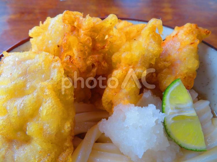 さぬきうどんのとり天ぶっかけの冷や 背景,さぬきうどん,さぬきの写真素材